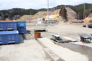 koamikurahama 083koamikurahama.jpg